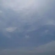 かかの画像