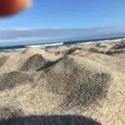 ゆり
