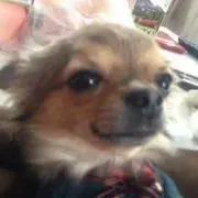 ももちゃん