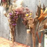 Piyokoの画像