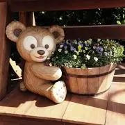 ゆうこりんの画像