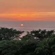 junko1026の画像