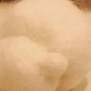 Ham