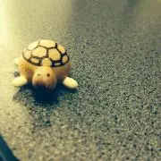 くろたま