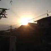 はなはな