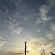 ふの画像