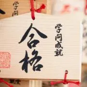マヨの画像