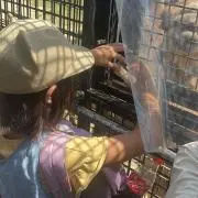 ハイトミの画像