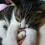 ⭐Mama ちゃん⭐プロフ必読♪