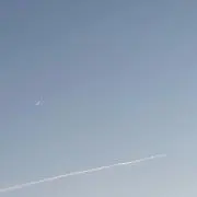 ごんの画像