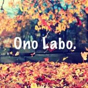 ハンドメイドアクセ  Ono Labo.