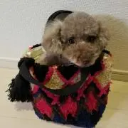 Bonnatyの画像