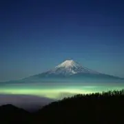 みつばちママの画像
