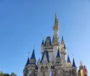 こゆきの画像