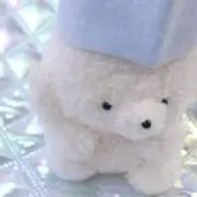 m♡プロフ必読の画像