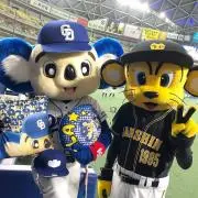 トラキチマツ