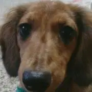 まあちゃん