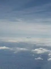 タルギの画像