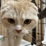 プロ必読。好きだからつくる！トドちゃんの画像
