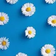 RA☆☆の画像
