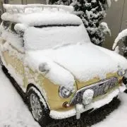 ただの