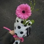 みな☑︎フォロー割の画像