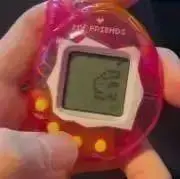 ふの画像
