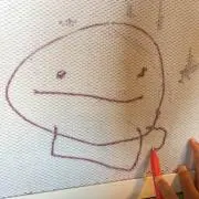 niramekkoの画像