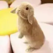 Me☆プロフィール要確認☆の画像
