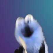 すんすん