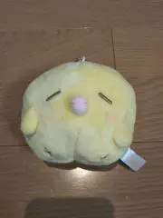 サクラの画像