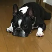 ☆ひこ☆
