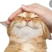 のびしろしかない