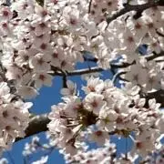 なも