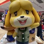 つばき ID記載不可の画像