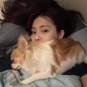 ねこの画像