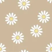 knnの画像