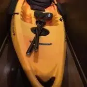 ホワイトの画像