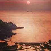 R inの画像
