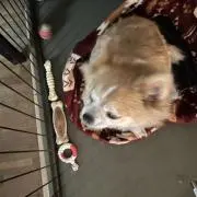 ちぃプロフ必読