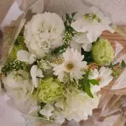 Raf.+♡*°