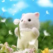 りらりらの画像