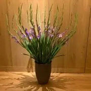 断捨離再開の画像