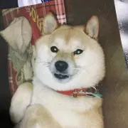 しば小太郎