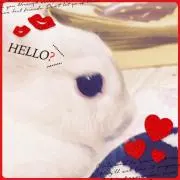 片岡うさぎ