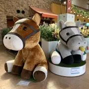 ずー^_^の画像