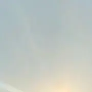 ちさきの画像