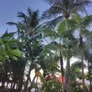 holidaytravelerの画像