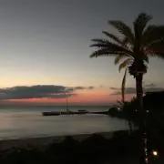 かずの画像