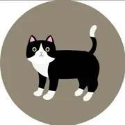 はれのひの画像